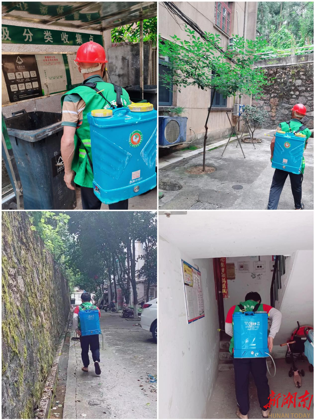 长沙师大社区：蚊虫消杀守护家园(图1)