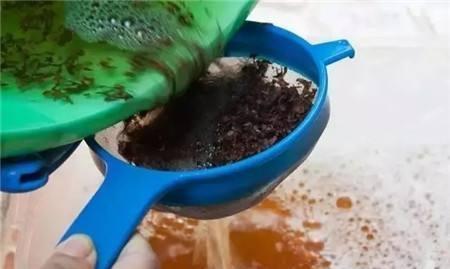 老花农杀虫绝招：从不用农药就兑点这水喷一次虫子全消灭！(图3)