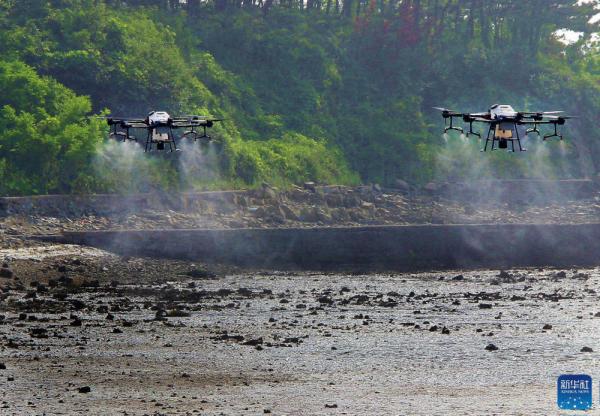 青岛使用无人机进行野外蚊蝇灭杀(图3)