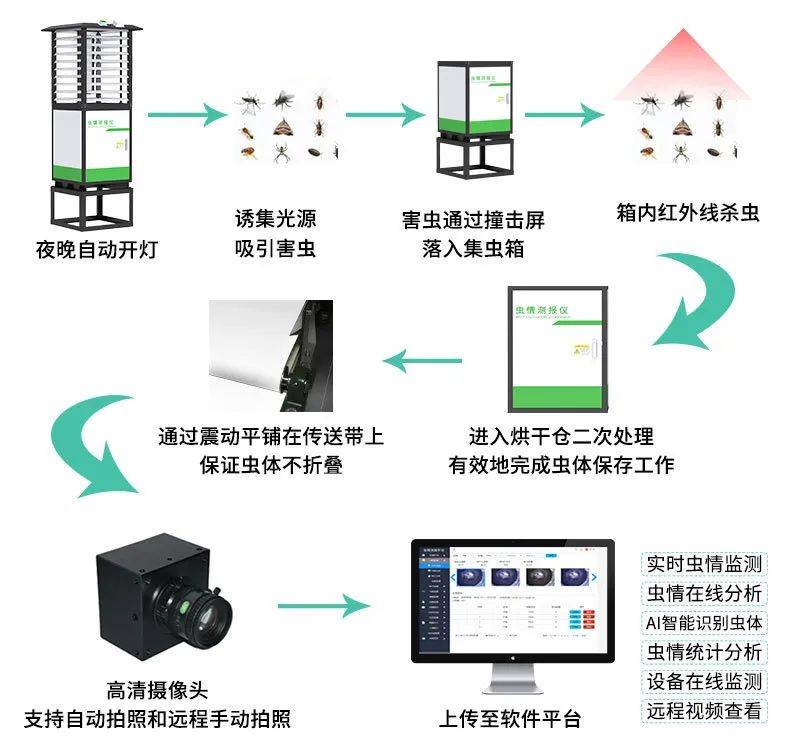 害虫防治技术有哪些？(图2)