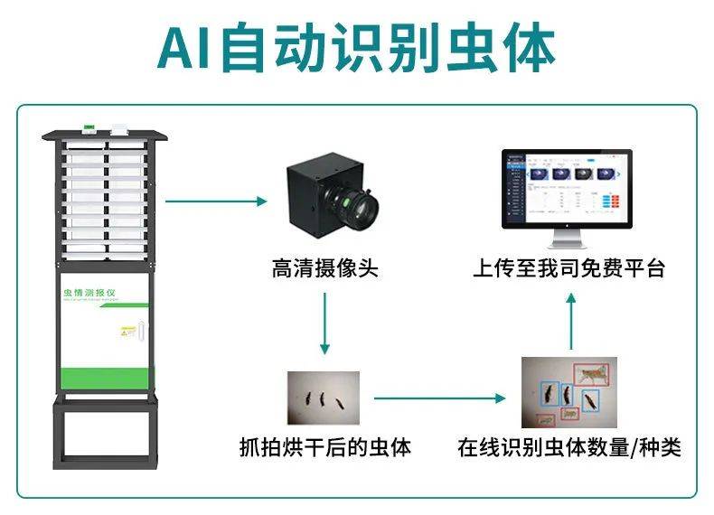 害虫防治技术有哪些？(图9)