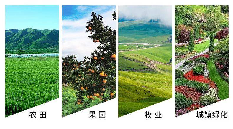 害虫防治技术有哪些？(图12)