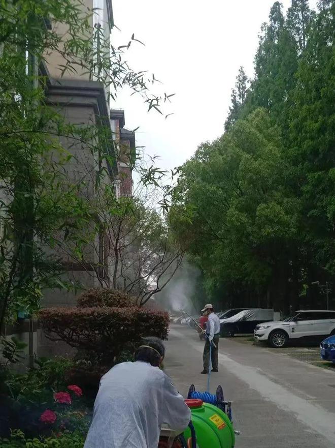 夏季蚊虫扰民他们的做法暖人心(图1)