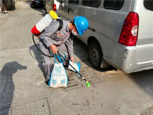 美丽状元灭蚊的最佳时间你知道么？快快行动消灭它们！(图1)