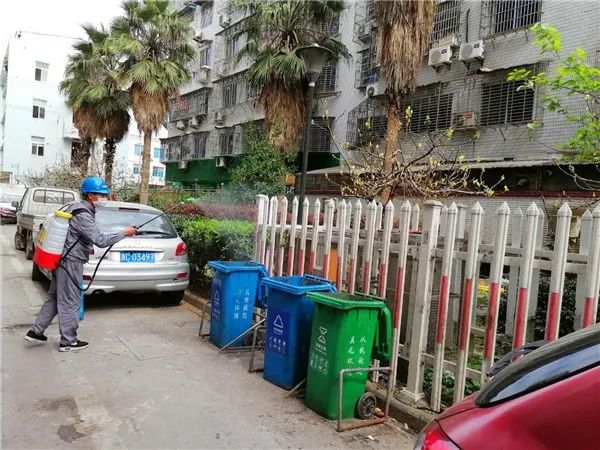 美丽状元灭蚊的最佳时间你知道么？快快行动消灭它们！(图2)