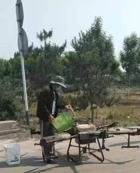 路北区开展全域植物病虫害防治消杀工作(图1)