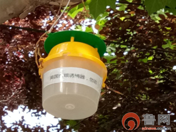 防治病虫害方下有新招(图2)