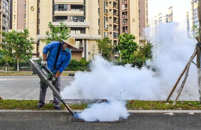 全方位清除蚊虫孳生地！海口连续3天消杀总面积超5200万平方米(图3)