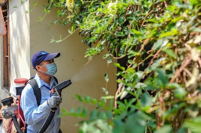 全方位清除蚊虫孳生地！海口连续3天消杀总面积超5200万平方米(图2)