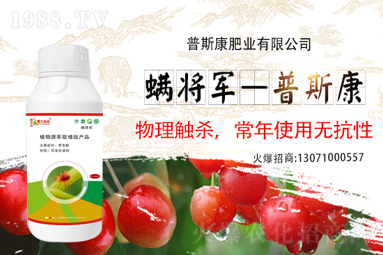 红蜘蛛等螨虫为何总是打不死？用什么药能杀死？茶多酚可以吗？(图1)