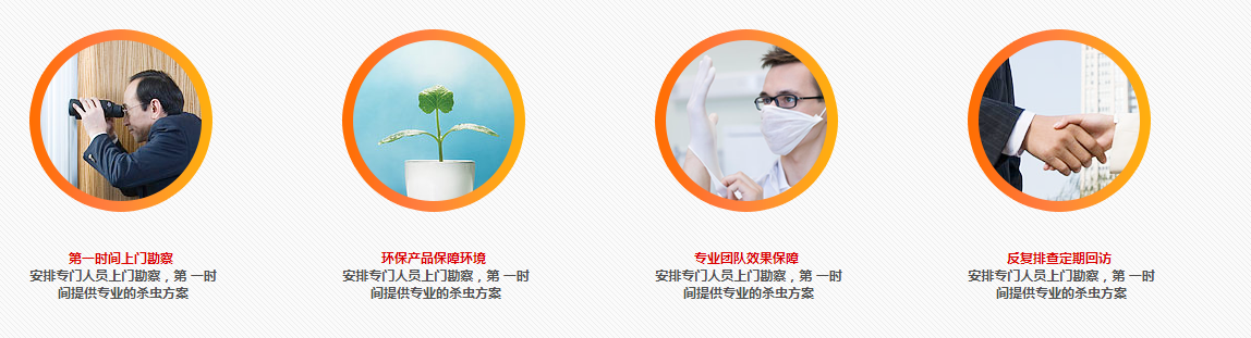 杀虫灭鼠消杀公司(图4)