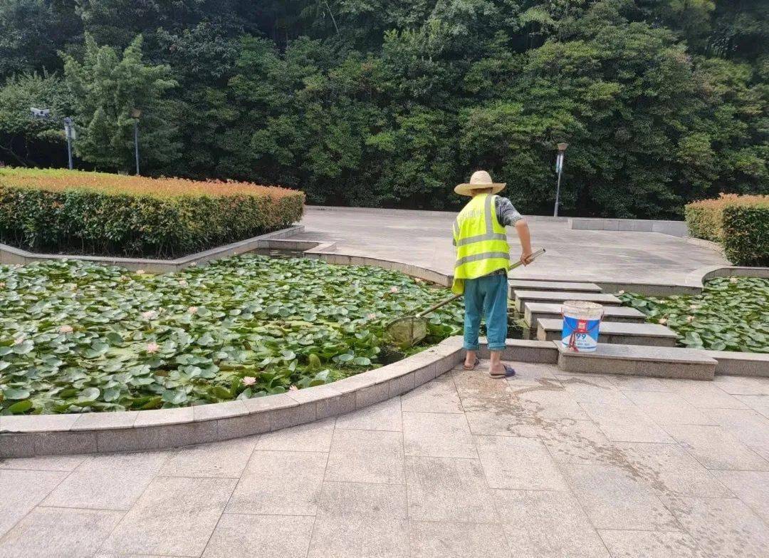 城区公园绿地防蚊灭蚊进行时(图2)