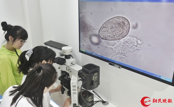 害虫出没科学应对就不怕！(图3)