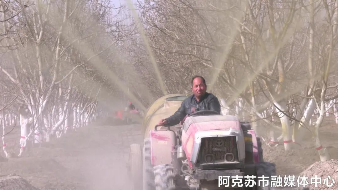 阿克苏市：做好病虫害防治提产提质促增收(图2)