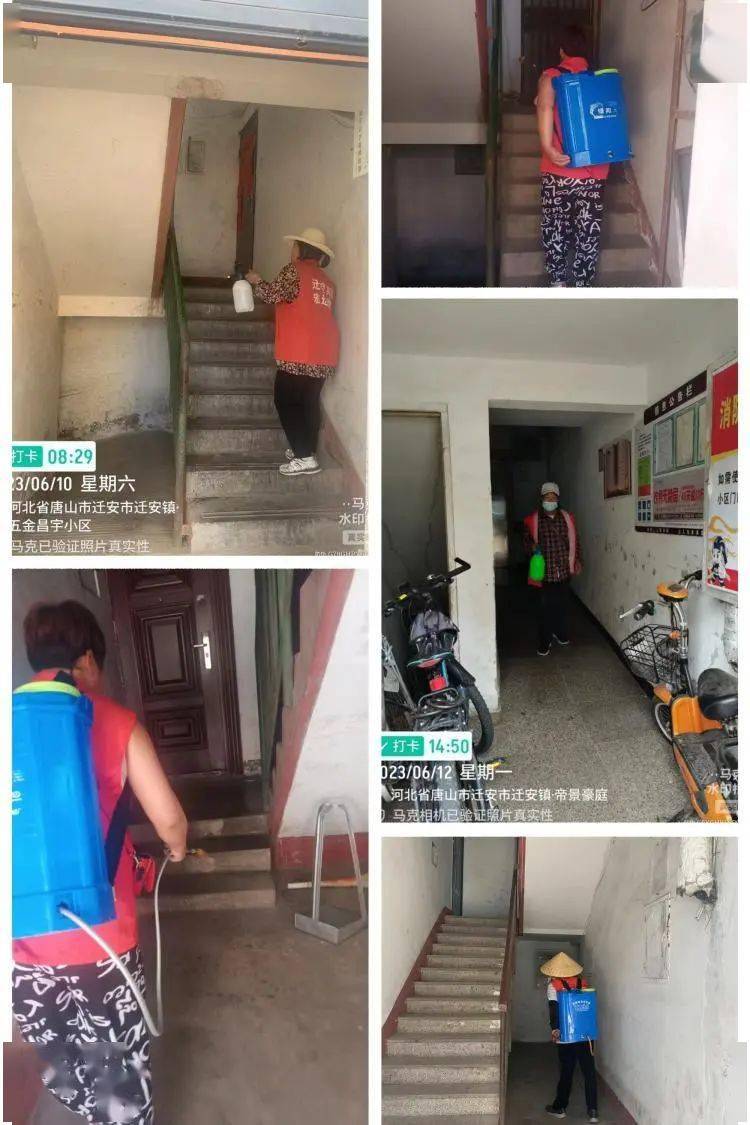 宏远物业｜夏季蚊虫消杀守护业主清凉一夏(图2)