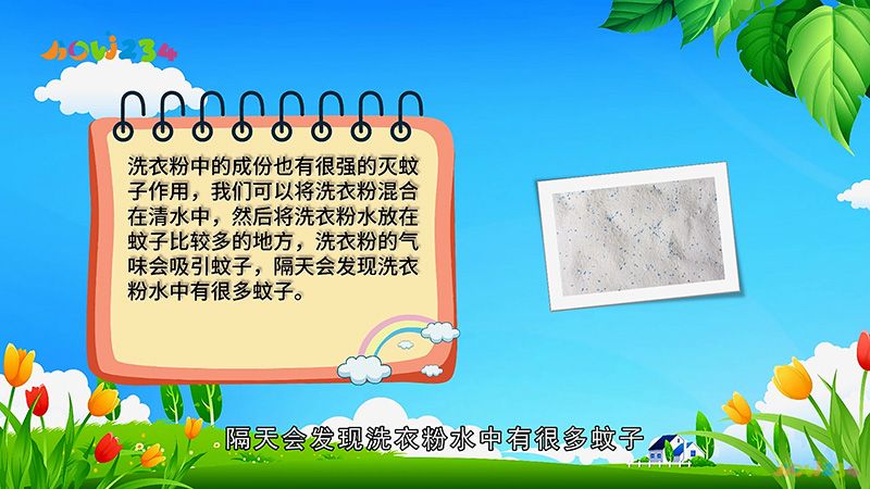 消灭蚊子最有效的方法(图4)