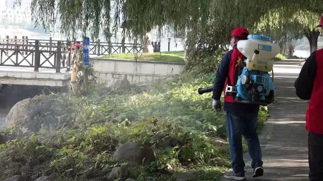 迎战“蚊虫大军”八里湖新区全面消杀(图2)