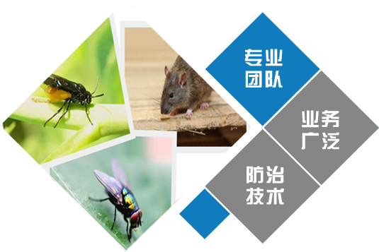 青海玖妥环境科技有限公司(图2)