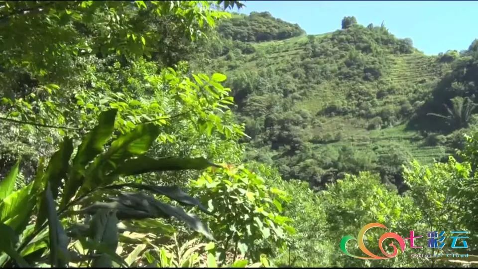 “害虫”来袭！咋办？——灭了！(图2)