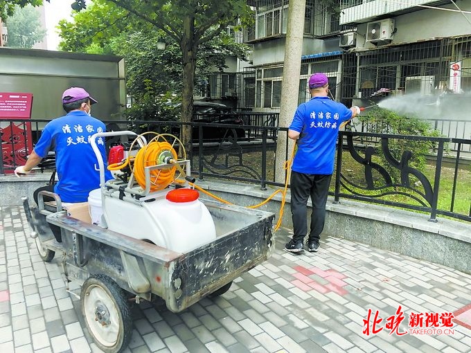 北京公益灭蚊活动走进和平里街道防制蚊虫注意别存水北晚新视觉(图1)