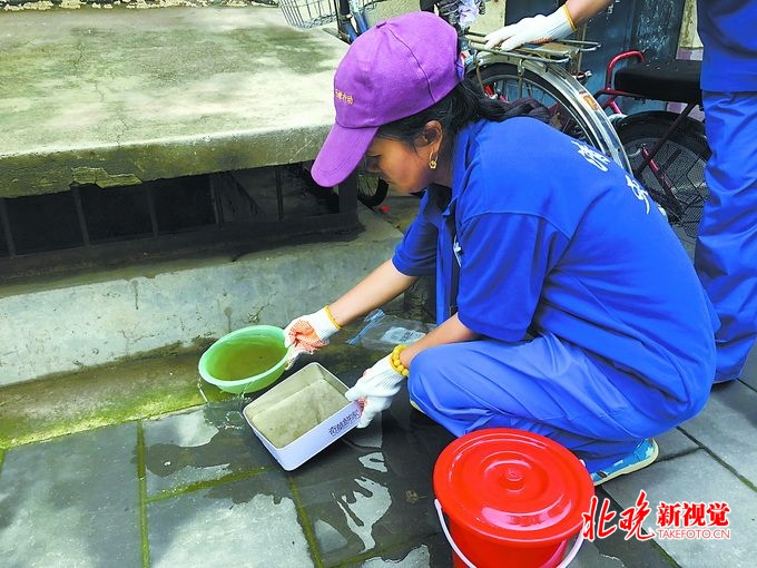 北京公益灭蚊活动走进和平里街道防制蚊虫注意别存水北晚新视觉(图4)