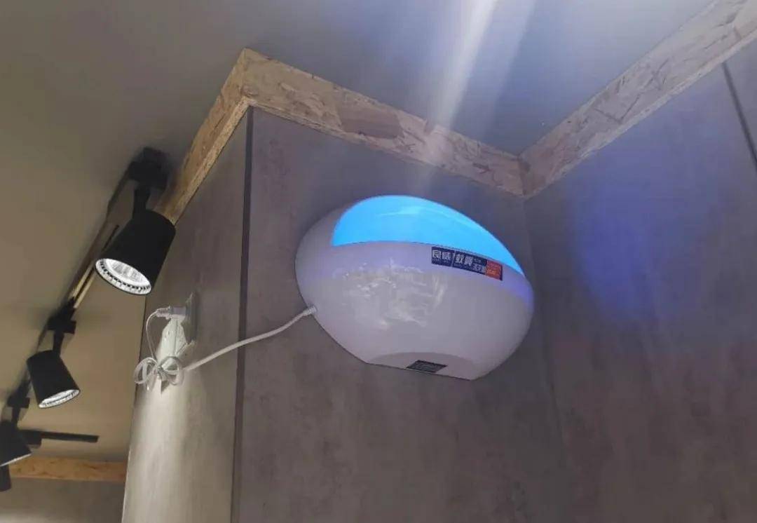 防虫大作战！采访五星级酒店消杀公司我总结出9条实用经验(图7)