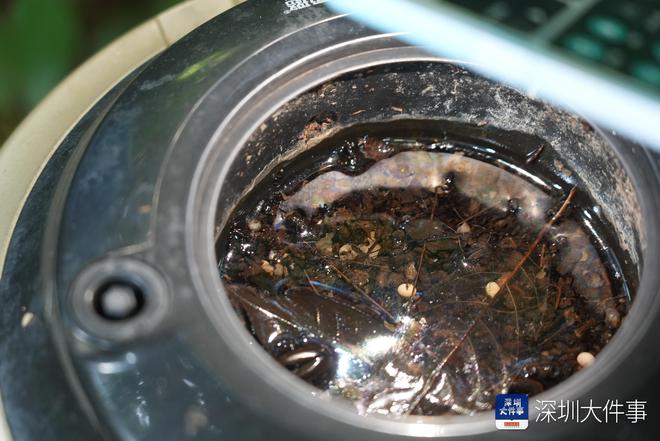 深圳一小区蚊虫密度严重超标蚊虫孳生地多物管被责令改正(图2)