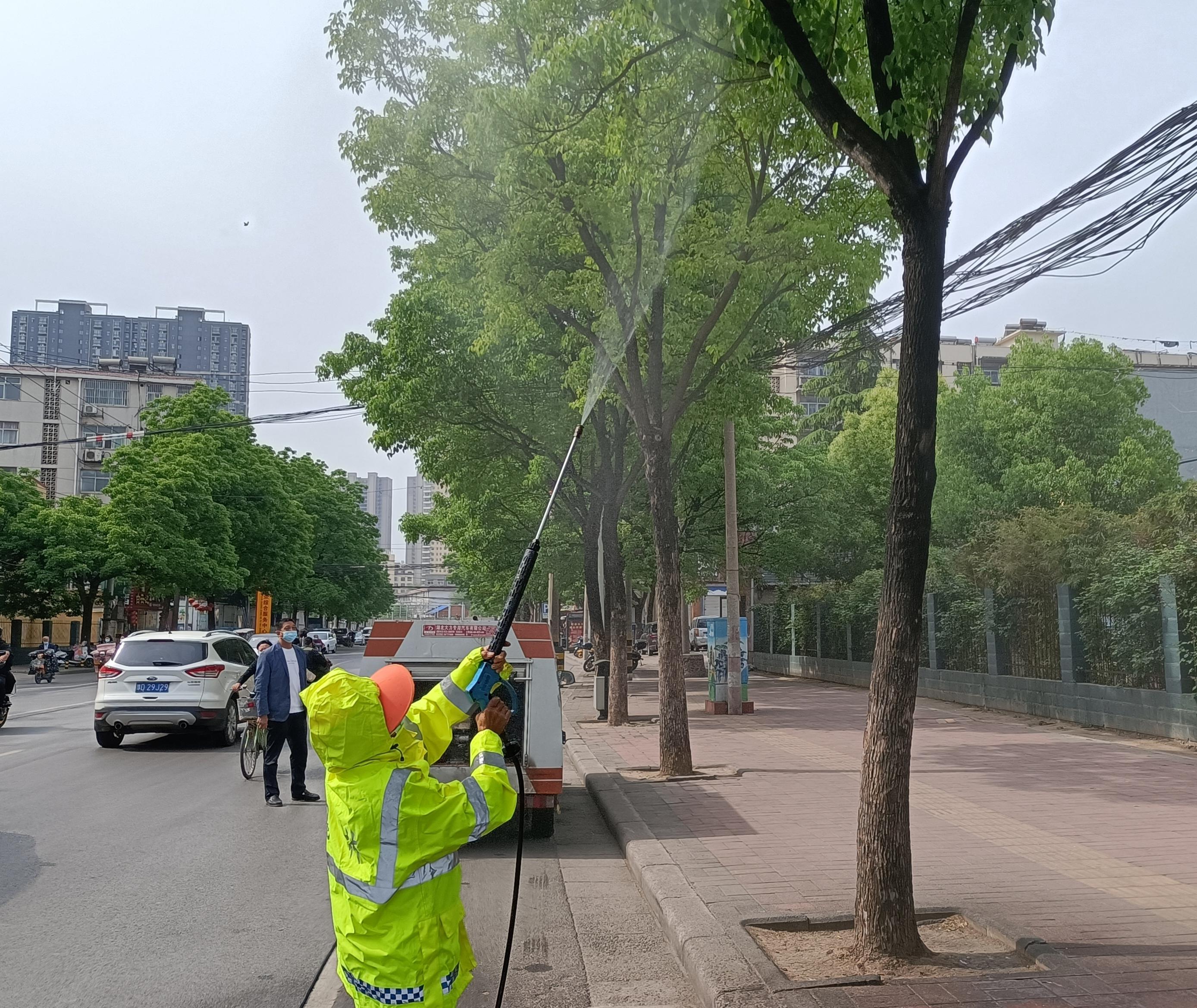 市区​园林部门开展春季病虫害防治集中灭杀“吊死鬼”、蚜虫等害虫(图1)