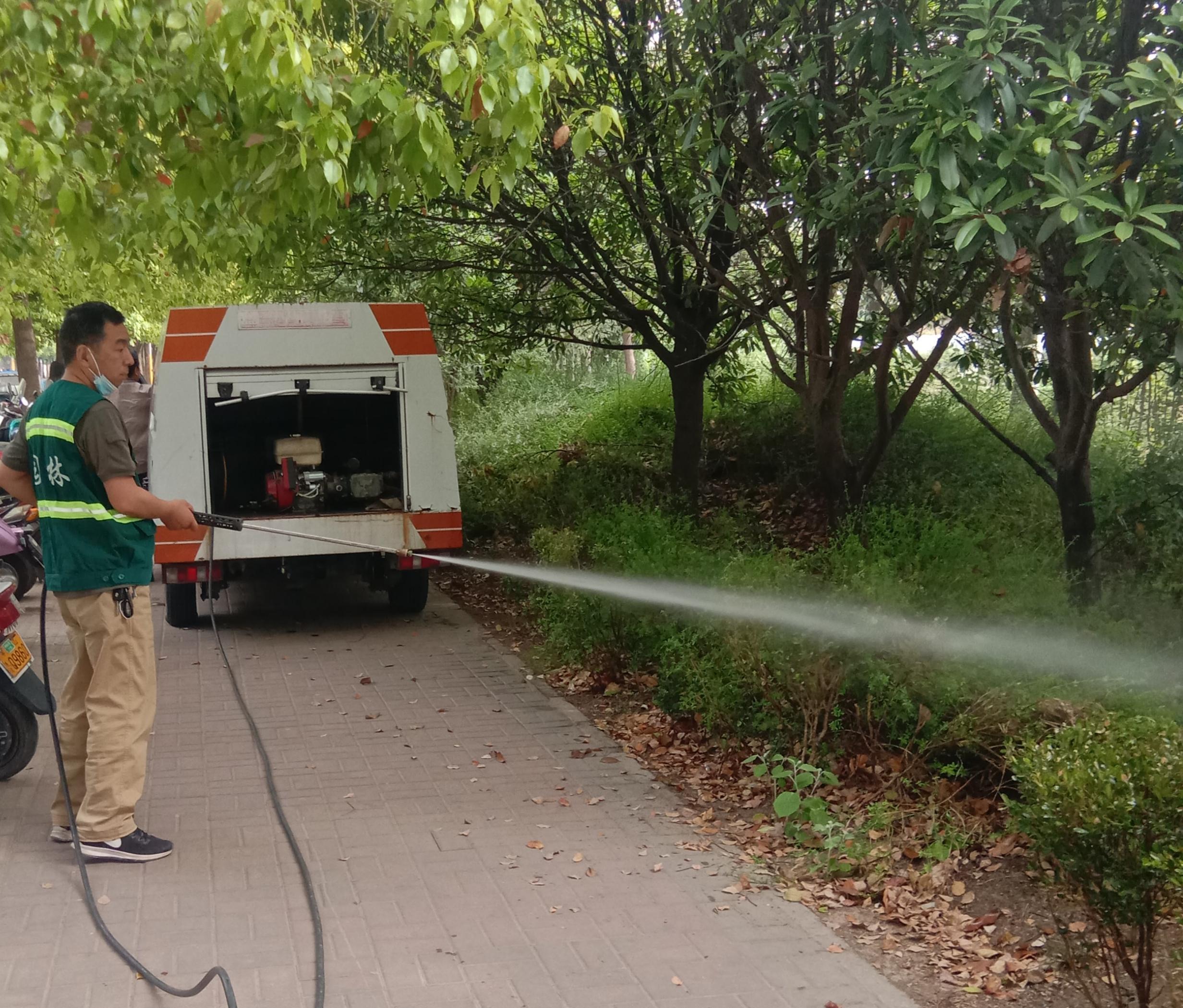 市区​园林部门开展春季病虫害防治集中灭杀“吊死鬼”、蚜虫等害虫(图2)