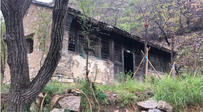 为什么燕子的数量急剧减少？因为它们面临着和人类一样的困境(图6)
