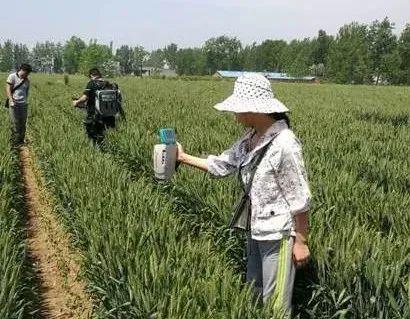 这个超高效杀虫剂7分钟击倒害虫可防治鳞翅目成虫和幼虫(图1)