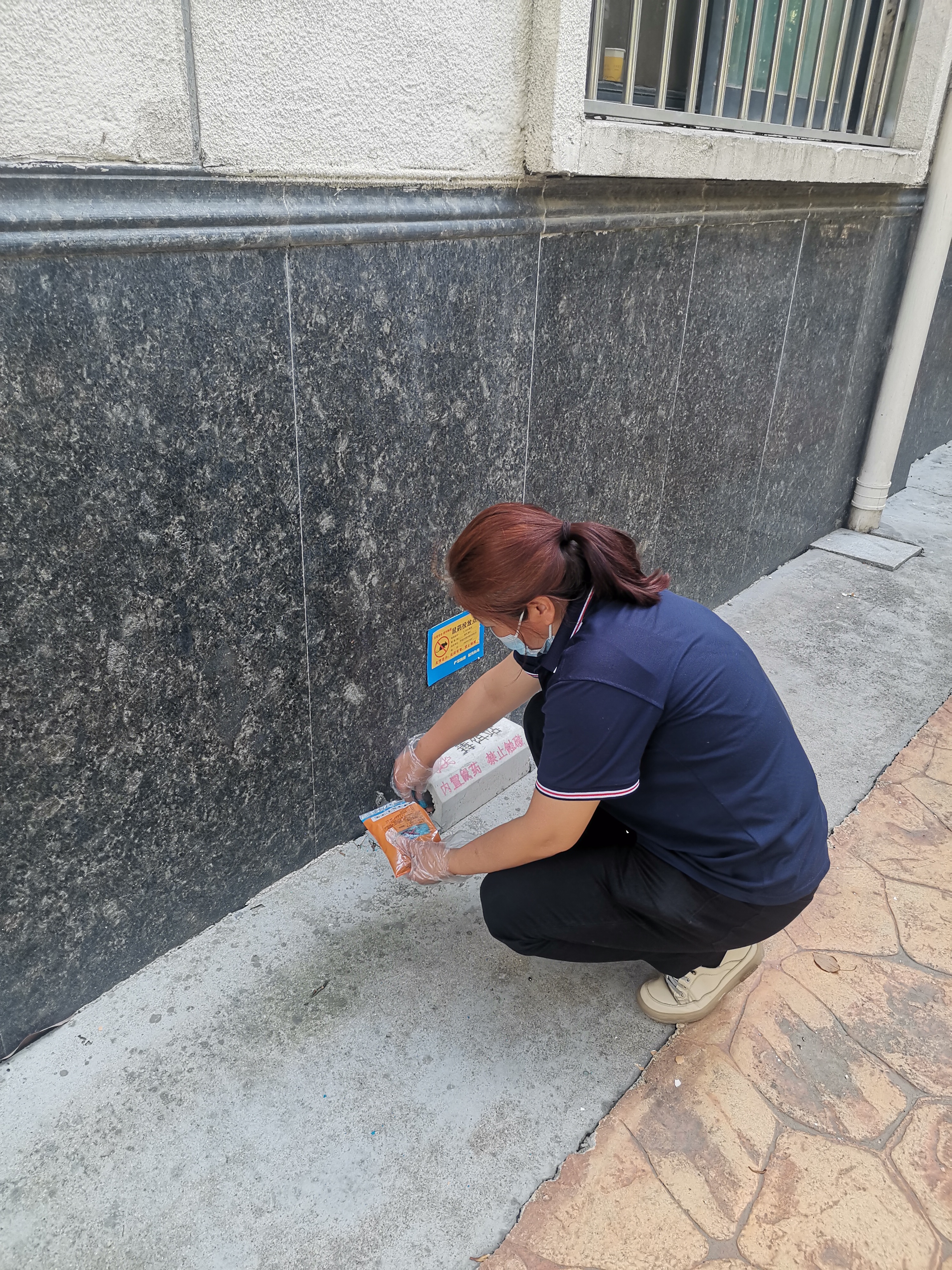 市第二人民医院：开展病媒生物防治工作(图2)