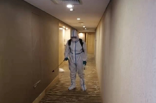 世界害虫日做好消杀灭能多洁为您健康护航(图2)