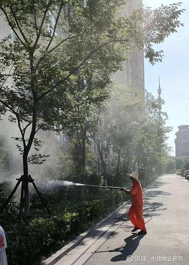 绿化消杀正当时华广物业在行动(图2)