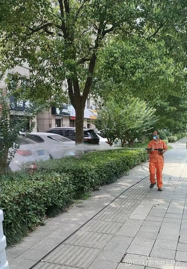 绿化消杀正当时华广物业在行动(图1)
