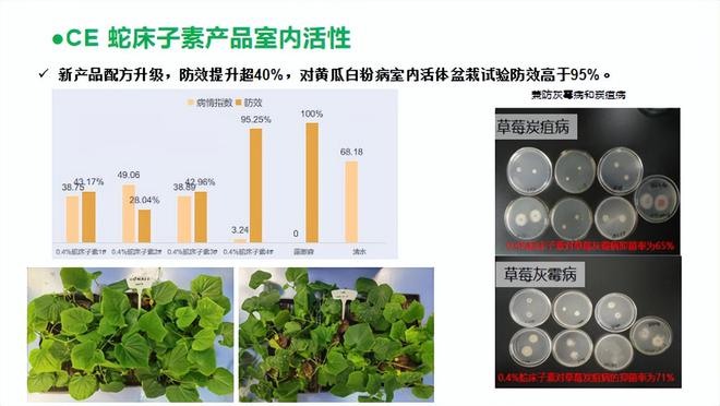 生物农药：生物农药与化学不是敌对关系而是相辅相成1+1＞2(图2)