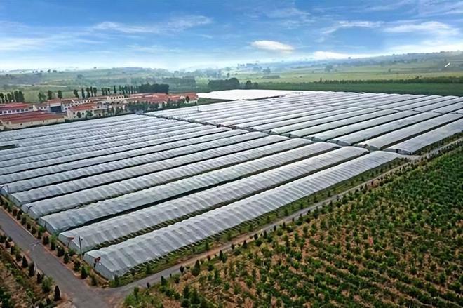 生物农药：生物农药与化学不是敌对关系而是相辅相成1+1＞2(图1)