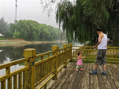 蚊子集中出没地在哪里？城市水系附近的蚊子为何不多？(图1)