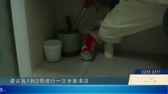 麻了！难道是“广东特产”？佛山已有人崩溃：家里太多了……碰上了会红肿！(图2)