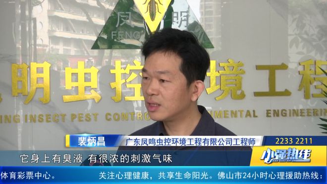 麻了！难道是“广东特产”？佛山已有人崩溃：家里太多了……碰上了会红肿！(图1)