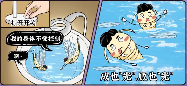 今天仍有雷雨！近期大量出现广州人请关好门窗→(图4)