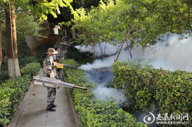 娄底全面开展蚊虫消杀行动全力预防登革热(图4)