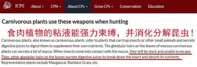 全家害虫一网打尽！澳洲进口AIRUSH捕虫盒除虫率9999%长效守护天然植萃配方温和安全(图18)