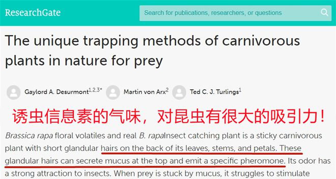 全家害虫一网打尽！澳洲进口AIRUSH捕虫盒除虫率9999%长效守护天然植萃配方温和安全(图16)
