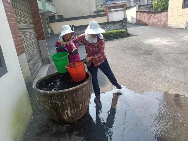 洞头25个村开展！千万注意(图1)