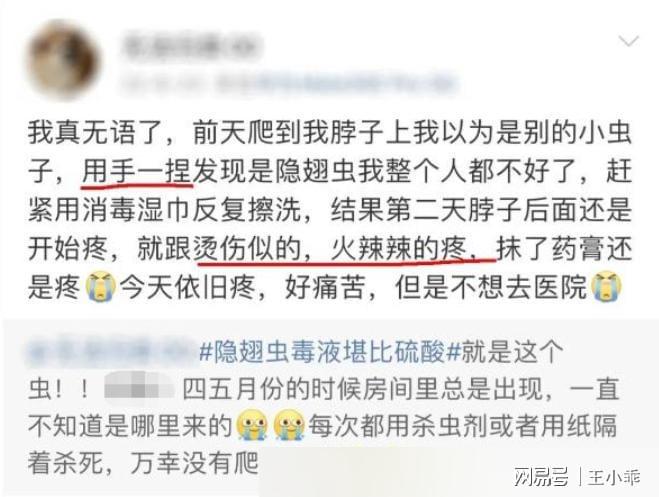 千万别拍！“飞行的硫酸”即将进入活跃期有人中招脖子烂了一圈(图15)