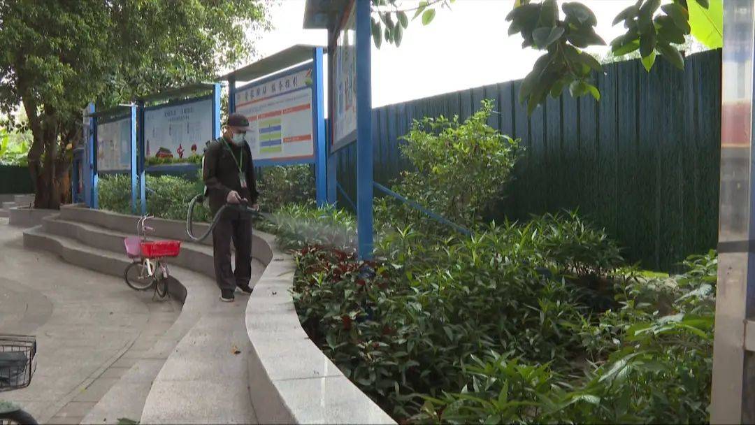 沙田镇开展夏季蚊虫消杀保障居民健康(图1)