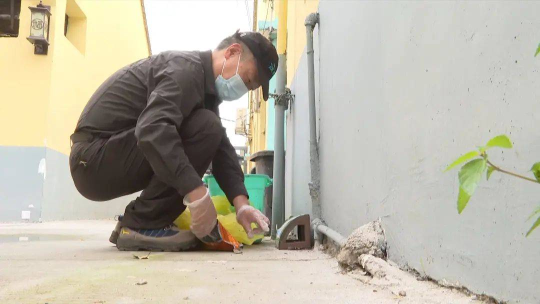 沙田镇开展夏季蚊虫消杀保障居民健康(图2)