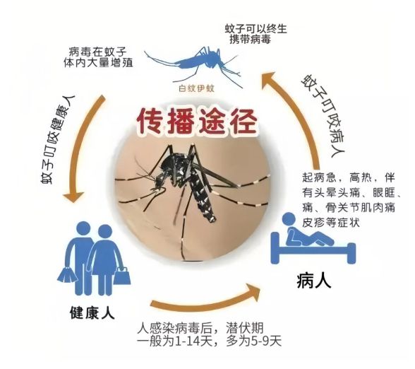 紧急提醒！佛山已有病例流行风险高！(图3)
