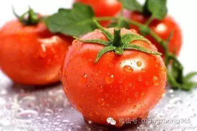 蔬菜常见病虫害用药名录！珍藏版(图1)